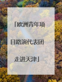 欧洲青年项目路演代表团走进天津