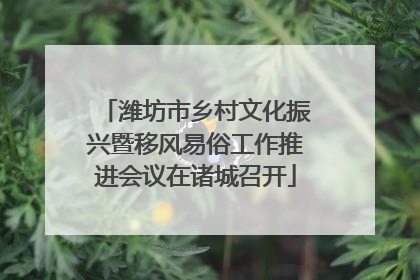 潍坊市乡村文化振兴暨移风易俗工作推进会议在诸城召开