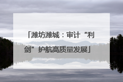 潍坊潍城：审计“利剑”护航高质量发展
