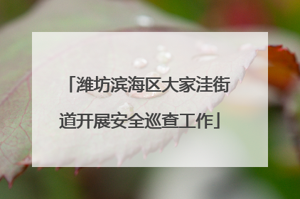 潍坊滨海区大家洼街道开展安全巡查工作