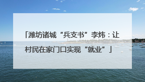 潍坊诸城“兵支书”李炜：让村民在家门口实现“就业”