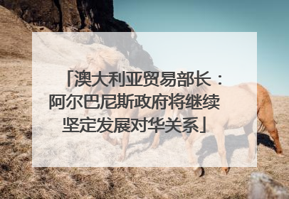 澳大利亚贸易部长：阿尔巴尼斯政府将继续坚定发展对华关系