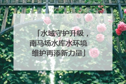 水域守护升级，南马场水库水环境维护再添新力量