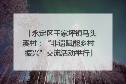 永定区王家坪镇马头溪村：“非遗赋能乡村振兴”交流活动举行
