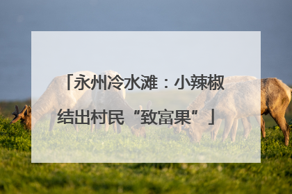 永州冷水滩：小辣椒结出村民“致富果”