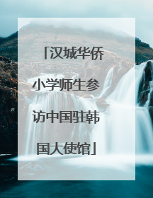汉城华侨小学师生参访中国驻韩国大使馆
