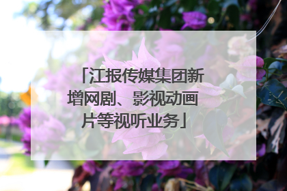 江报传媒集团新增网剧、影视动画片等视听业务