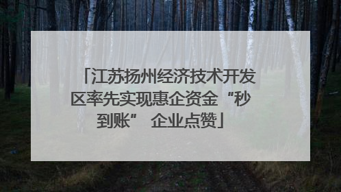 江苏扬州经济技术开发区率先实现惠企资金“秒到账” 企业点赞