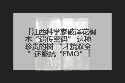 江西科学家破译花榈木“遗传密码” 这种珍贵的树 “才貌双全”还能抗“EMO”