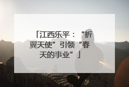 江西乐平：“折翼天使”引领“春天的事业”