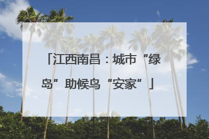 江西南昌：城市“绿岛”助候鸟“安家”