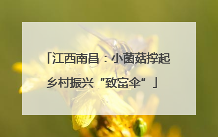江西南昌：小菌菇撑起乡村振兴“致富伞”