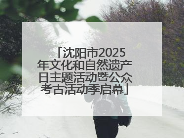 沈阳市2025年文化和自然遗产日主题活动暨公众考古活动季启幕