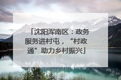 沈阳浑南区：政务服务进村屯，“村政通”助力乡村振兴