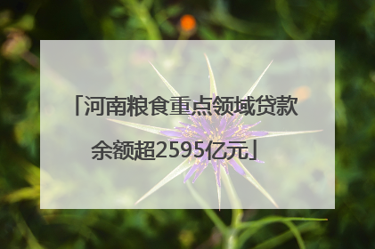 河南粮食重点领域贷款余额超2595亿元