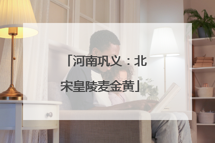 河南巩义：北宋皇陵麦金黄