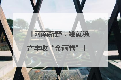 河南新野：绘就稳产丰收“金画卷”