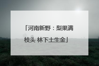 河南新野：梨果满枝头 林下土生金