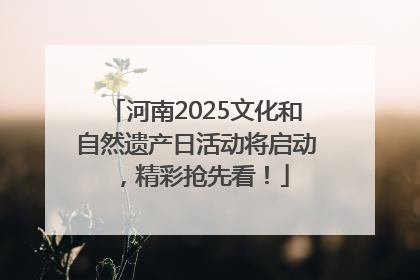 河南2025文化和自然遗产日活动将启动，精彩抢先看！