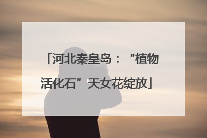 河北秦皇岛：“植物活化石”天女花绽放