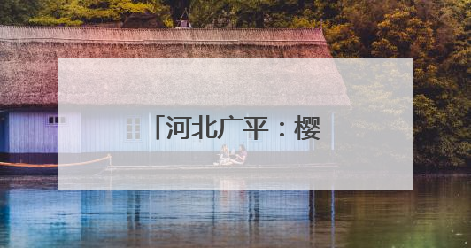河北广平：樱桃采摘正当时