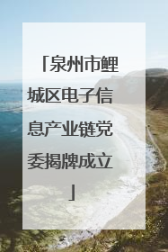 泉州市鲤城区电子信息产业链党委揭牌成立