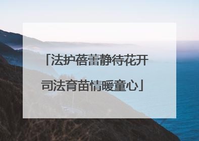 法护蓓蕾静待花开 司法育苗情暖童心