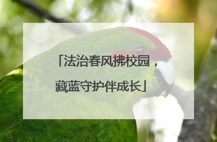 法治春风拂校园，藏蓝守护伴成长