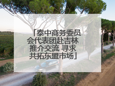 泰中商务委员会代表团赴吉林推介交流 寻求共拓东盟市场