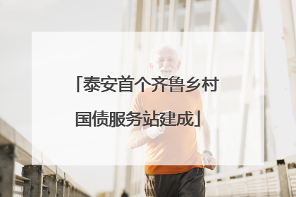 泰安首个齐鲁乡村国债服务站建成