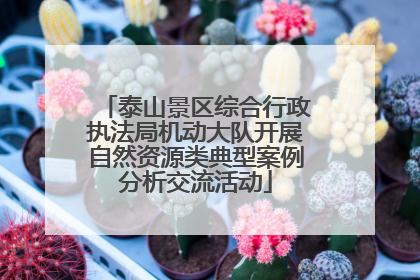 泰山景区综合行政执法局机动大队开展自然资源类典型案例分析交流活动
