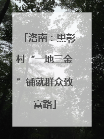洛南：黑彰村“一地三金”铺就群众致富路