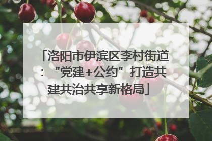 洛阳市伊滨区李村街道：“党建+公约”打造共建共治共享新格局
