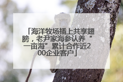 海洋牧场插上共享翅膀，老尹家海参认养“一亩海”累计合作近200企业客户