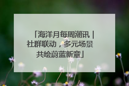 海洋月每周潮讯｜社群联动，多元场景共绘蔚蓝新章
