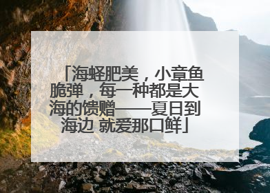 海蛏肥美，小章鱼脆弹，每一种都是大海的馈赠——夏日到海边 就爱那口鲜