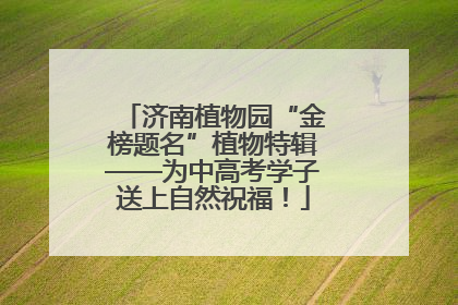 济南植物园“金榜题名”植物特辑——为中高考学子送上自然祝福！