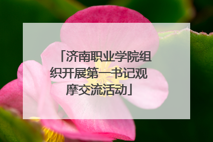 济南职业学院组织开展第一书记观摩交流活动