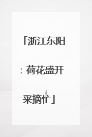 浙江东阳：荷花盛开采摘忙