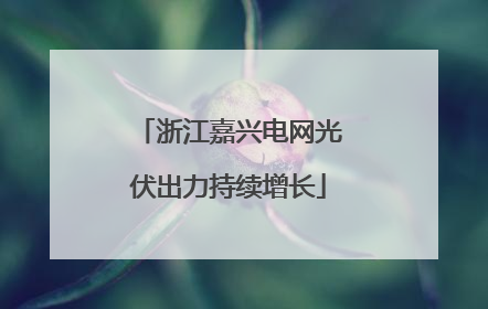 浙江嘉兴电网光伏出力持续增长
