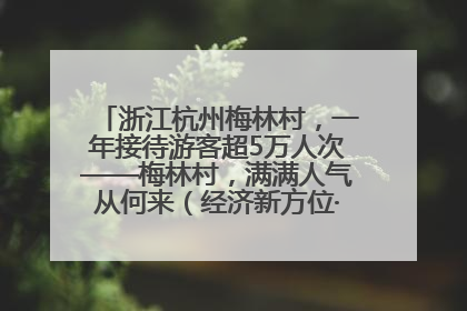 浙江杭州梅林村，一年接待游客超5万人次——梅林村，满满人气从何来（经济新方位·农村消费观察）