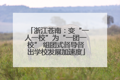 浙江苍南：变“一人一校”为“一团一校” 组团式督导督出学校发展加速度