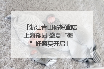 浙江青田杨梅登陆上海豫园 盛夏“梅”好盛宴开启