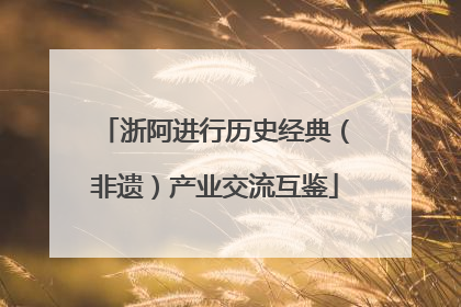 浙阿进行历史经典（非遗）产业交流互鉴