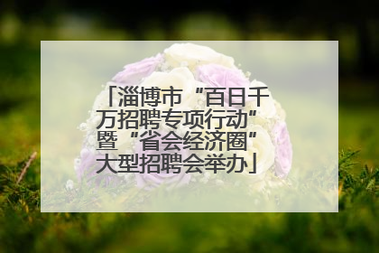 淄博市“百日千万招聘专项行动”暨“省会经济圈”大型招聘会举办