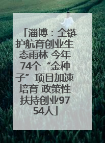 淄博：全链护航育创业生态雨林 今年74个“金种子”项目加速培育 政策性扶持创业9754人