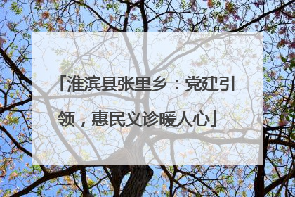 淮滨县张里乡：党建引领，惠民义诊暖人心