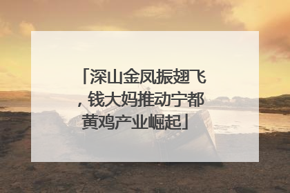 深山金凤振翅飞，钱大妈推动宁都黄鸡产业崛起