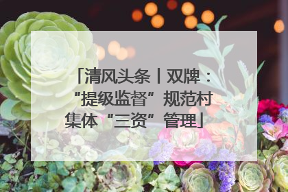 清风头条丨双牌：“提级监督”规范村集体“三资”管理