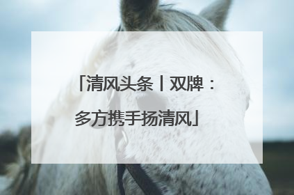 清风头条丨双牌：多方携手扬清风